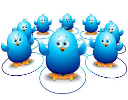 twitter automated following