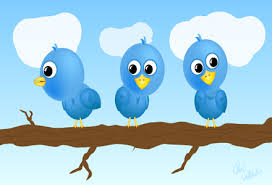 get twitter followers fast without survey