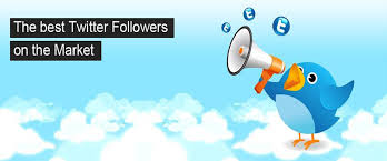 really cheap twitter followers