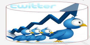 new follower on twitter