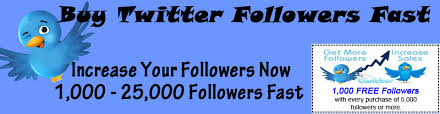 more followers on twitter cheap