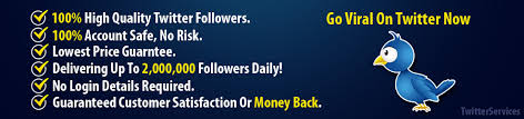 buy followers twitter cheap