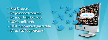 buy twitter followers in bulk